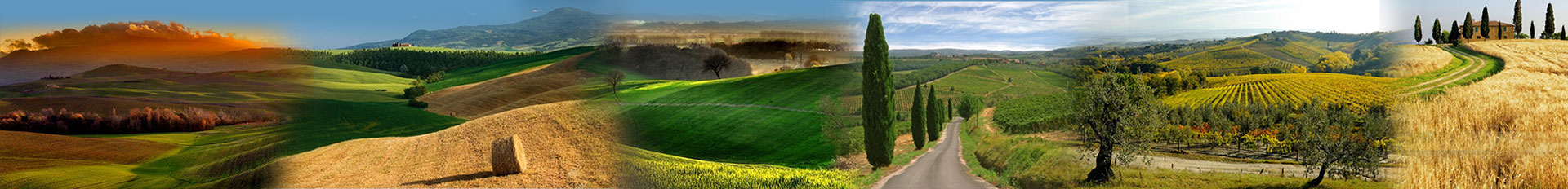 Bus and minibus rental with driver Tuscany Tour