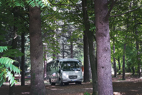 Noleggio Bus con conducente Toscana